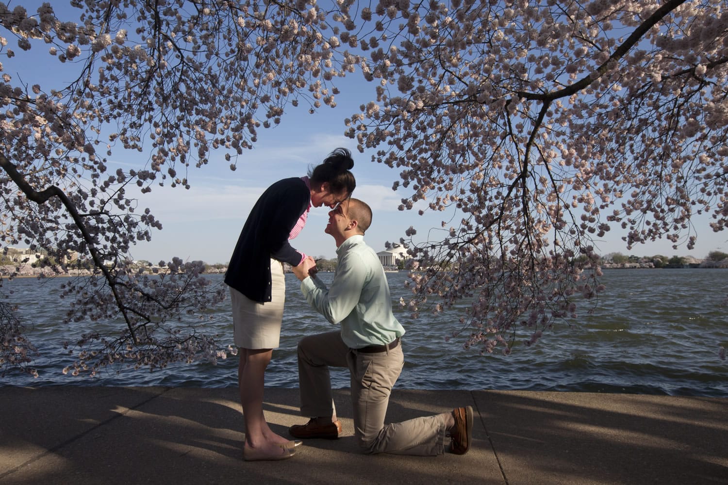 Beneath cherry blossom trees in bloom April 10 along the tidal basin in Washington, D.C., Steve Paska, 26, of Arlington, Va., asks his girlfriend of two years, Jessica Deegan, 27, to marry him.