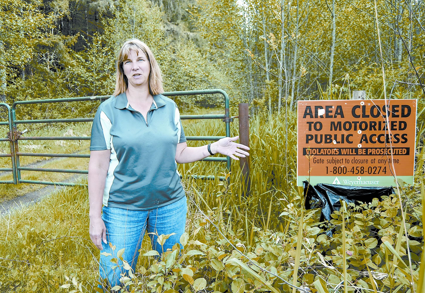 As a child, Darcy Mitchem rode her bicycle on this Weyerhaeuser Co. road near Toutle. She opposed the company's plan to start charging for all access beginning Aug.