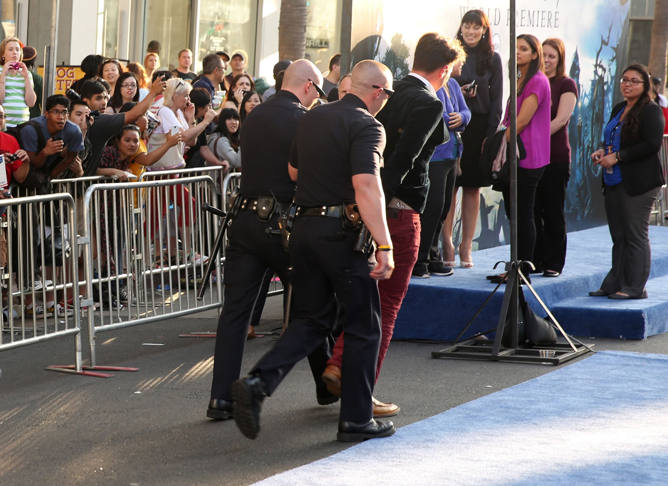 A fan is walked off carpet in handcuffs after allegedly attacking Brad Pitt at the world premiere of &quot;Maleficent&quot; at the El Capitan Theatre on Wednesday in Los Angeles.