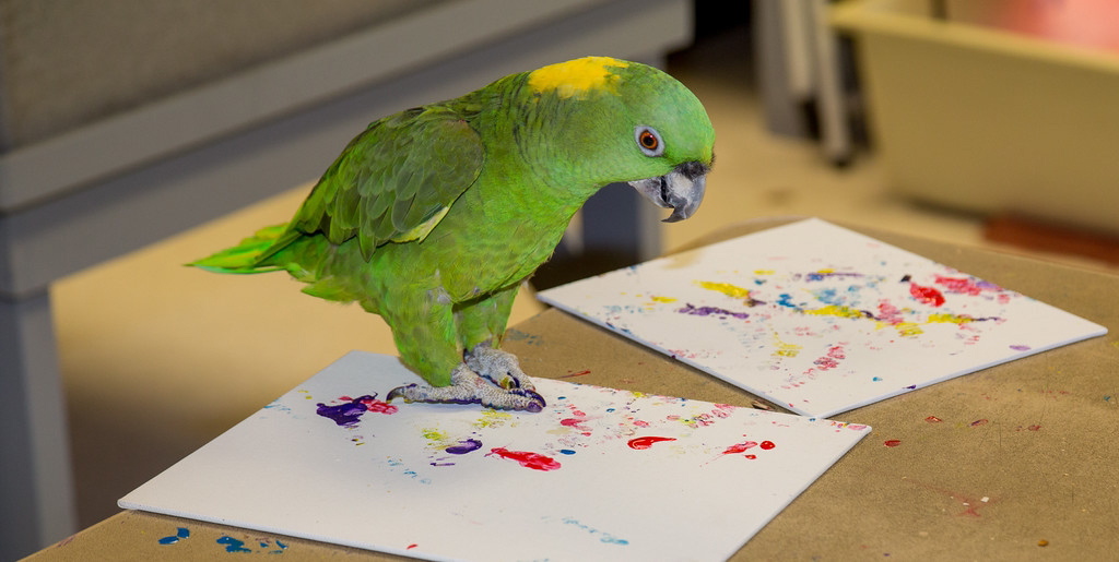 Oakland Zoo auctioning paintings by its animals - The Columbian