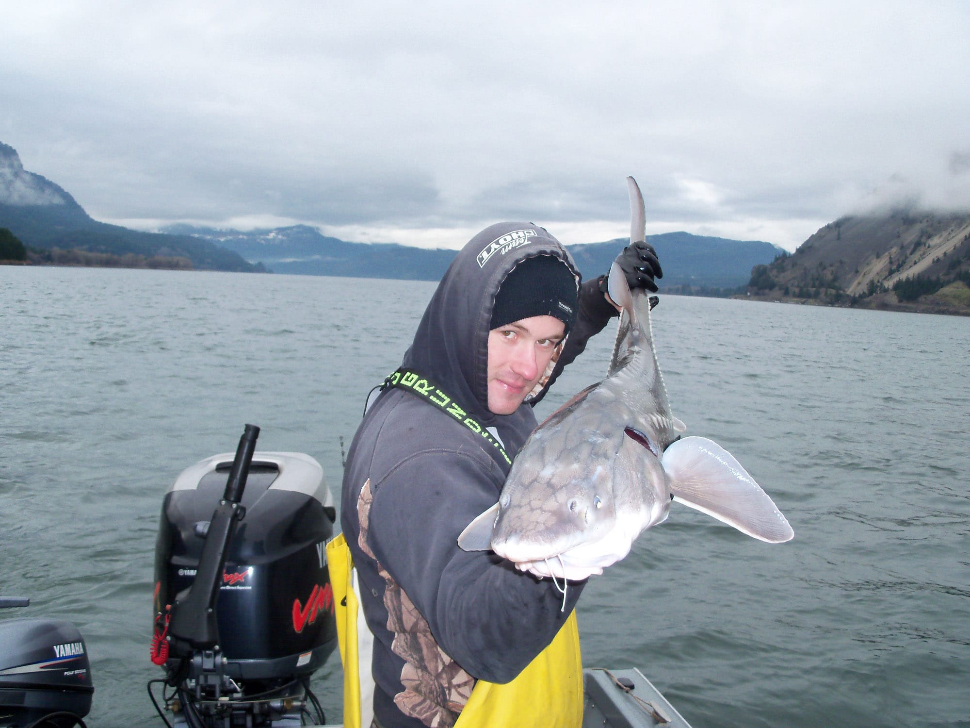 Guide Paul Ambrose with a sturgeon caught in the Bonneville pool.