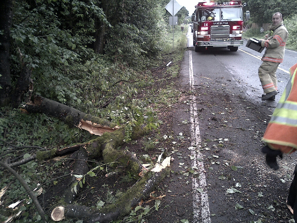 A tree fell on a Clark County Public Utilities vehicle Friday morning and injured a worker inside.