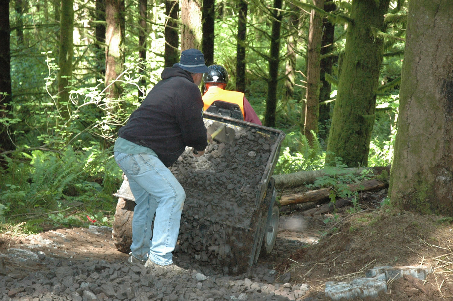 Steve Corrie rakes rock out of a haul vehicle and on to concrete blocks to reinforce a wet spot on a new segment of the B Loop at Jones Creek trail system in the Yacolt Burn State Forest.