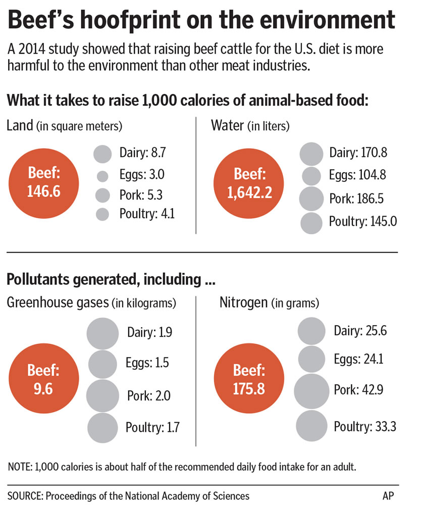 Relative burden on environment of producing beef, dairy, eggs, poultry and pork.