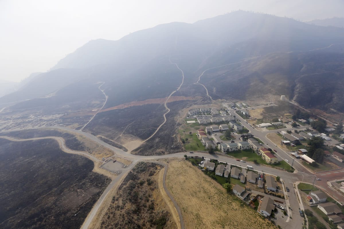 Scorched hills surround a housing development that survived a wildfire days earlier Aug. 27 near Chelan,. The complex of fires that burned throughout the area are the largest in state history.