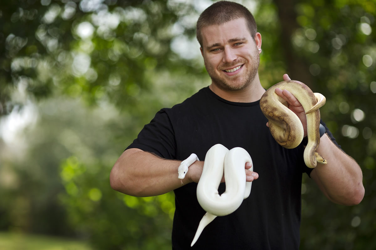 P.J. Suss holds an ivory ball python, left, and a Champagne ball python in Orlando, Fla. Suss, who raises and breeds ball pythons as a business, says he doesn&#039;t think that a snake can be a service animal.