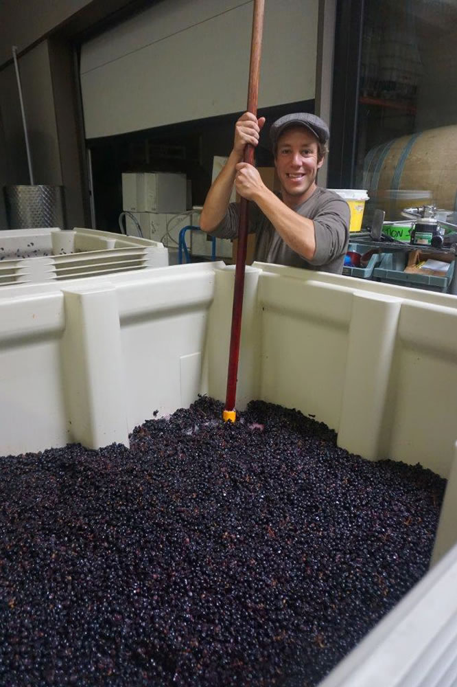 Working with Division Winemaking Company since its inception, French native Aurelian punches down grapes on the production floor at Southeast Wine Collective in Portland.