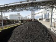 Millennium Bulk Terminals has proposed building a coal export terminal in Longview that could handle up to 44 million metric tons of coal per year. The facility was proposed in 2012 and remains under review.