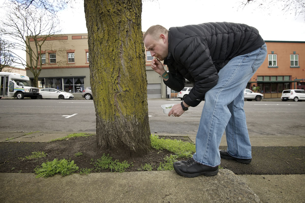 Chef Sebastian Corosi samples clover he found next to a tree in downtown Vancouver.