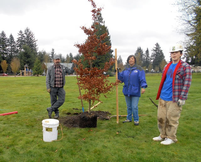 Fircrest: Fircrest residents plant trees Thursday at LeRoy Haagen Memorial Park with help from Vancouver's Urban Forestry Program and Washington AmeriCorps.