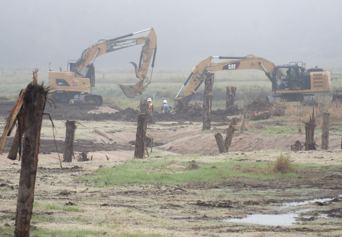 Construction on a habitat restoration project at La Center Bottoms is winding down, with major work expected to be done next week. Crews added three new channels connecting the East Fork of the Lewis River to the wetland, and realigned an existing channel, shown here.
