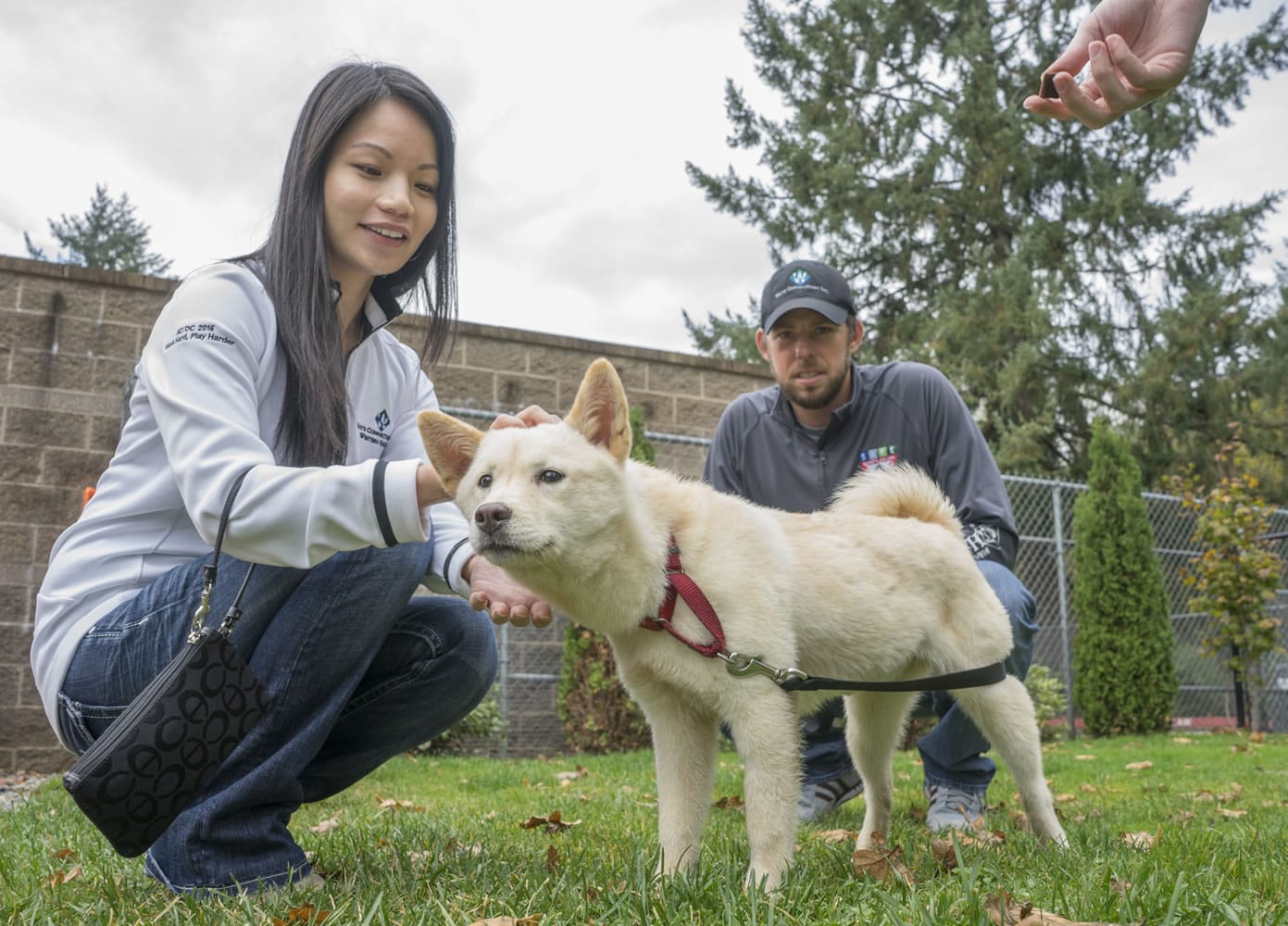 Autumn and Jeff, a couple from Vancouver, walk a 5-month-old Jindo mix, who they are renaming Seoul, before taking her home on Saturday. The puppy was rescued from a South Korean dog meat farm this summer.