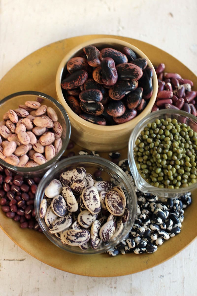 From top clockwise, scarlet runner beans, Jacob cattle, mung, orca, Christmas pole butter beans, adzuki, and cranberry dried beans (AP Photo/Matthew Mead)