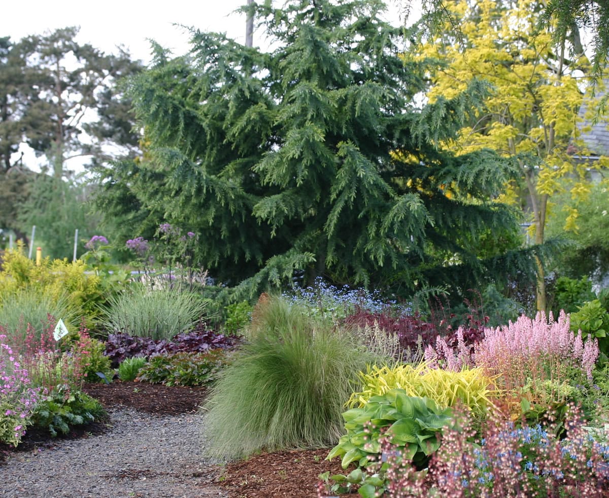 Terra Nova demonstration gardens feature a mix of flowers and foliage in a complementary plant palette.