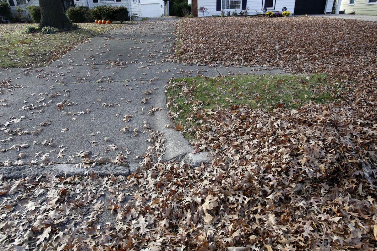 A home with leaves covering the front lawn sits next to a home where most of the leaves have been raked to the curb Nov. 9 in Akron, Ohio.