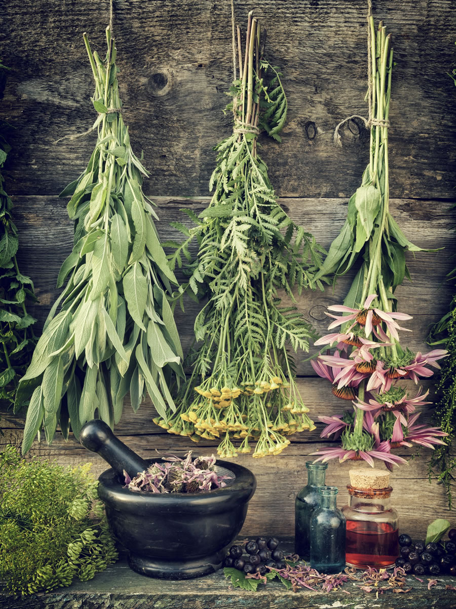 There is still time to dry herbs for medicinal and culinary uses.
