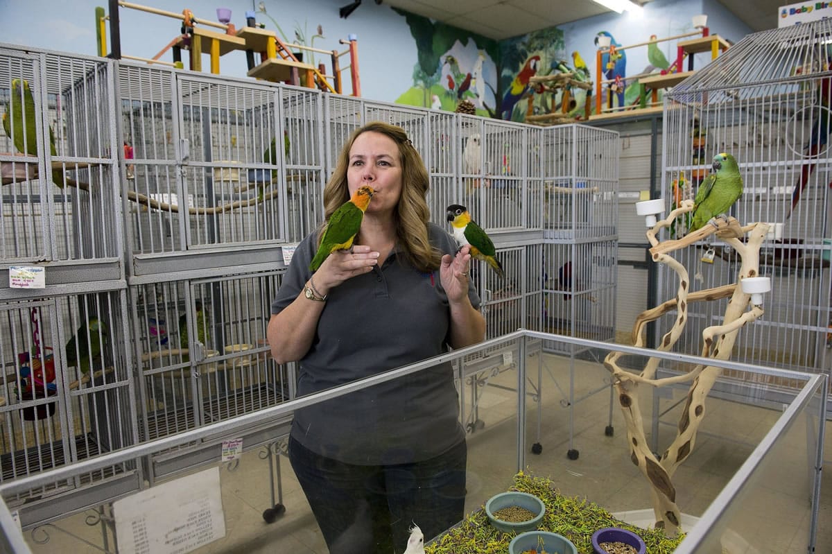Tiffany Latino, owner of The Bird Shop, kisses a Blue Front Amazon at her store Nov.