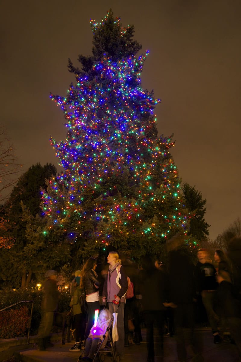 The tree is lit at Propstra Square during the city of Vancouver Community Tree Lighting ceremony in Esther Short Park.