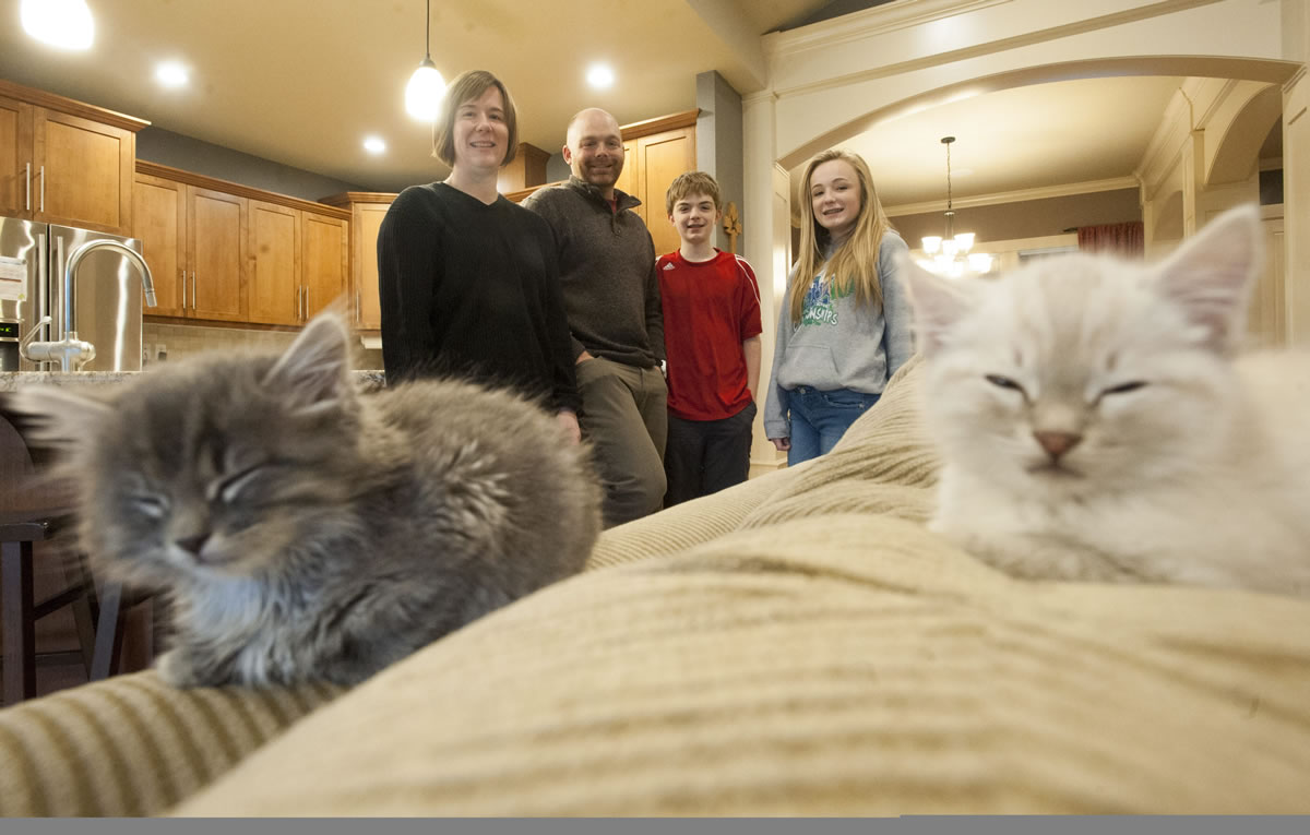 From left, Ableidinger family members Nicolle, Matt, Jacob and Allison have been enjoying raising their latest pair of foster kittens at their Clark County home, where the kittens will live until they&#039;re ready to be adopted.