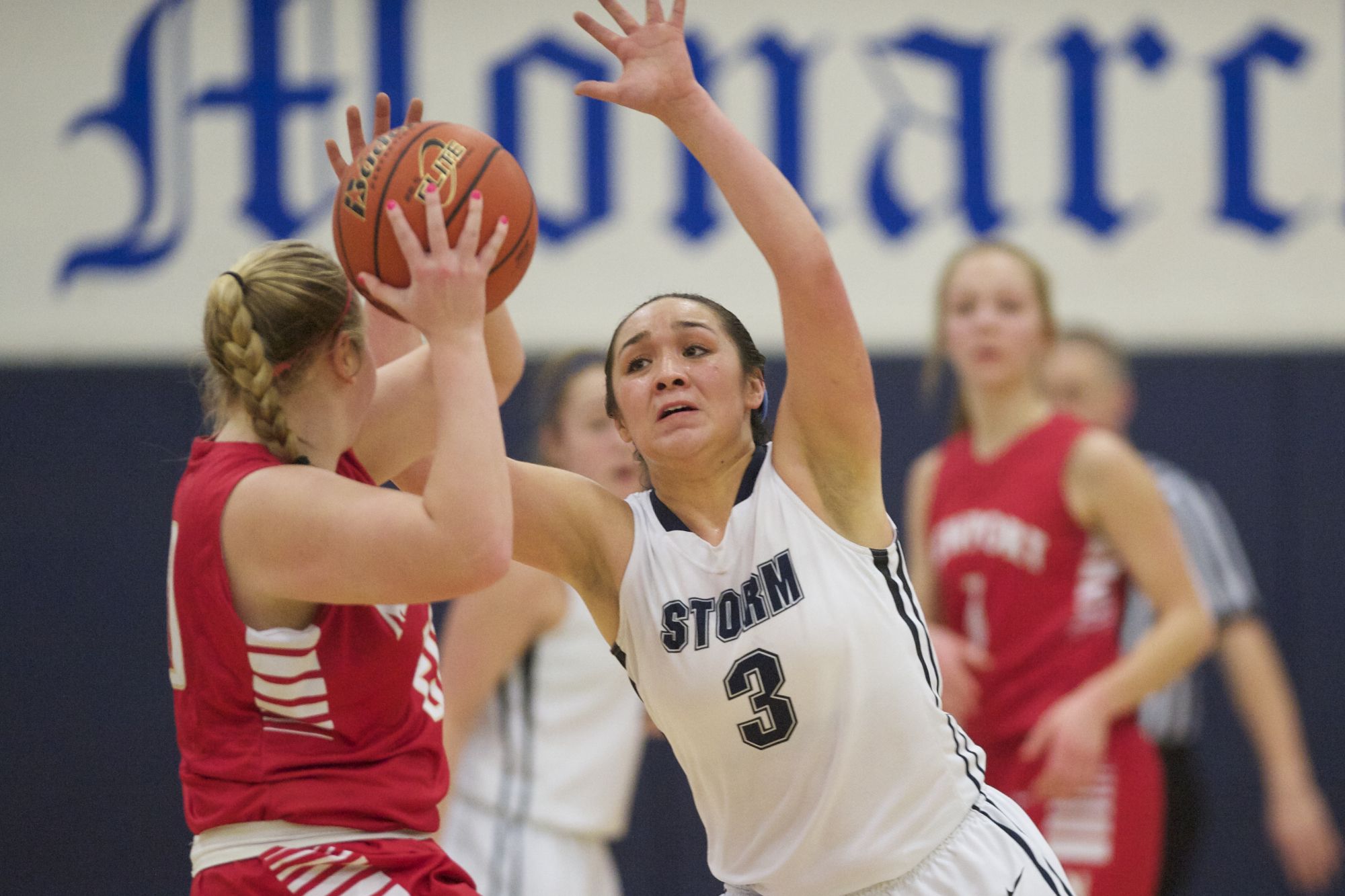 Stephanie McDonagh likes to draw the opponent's best player as her defensive assignment and serve as Skyview's sparkplug on defense.