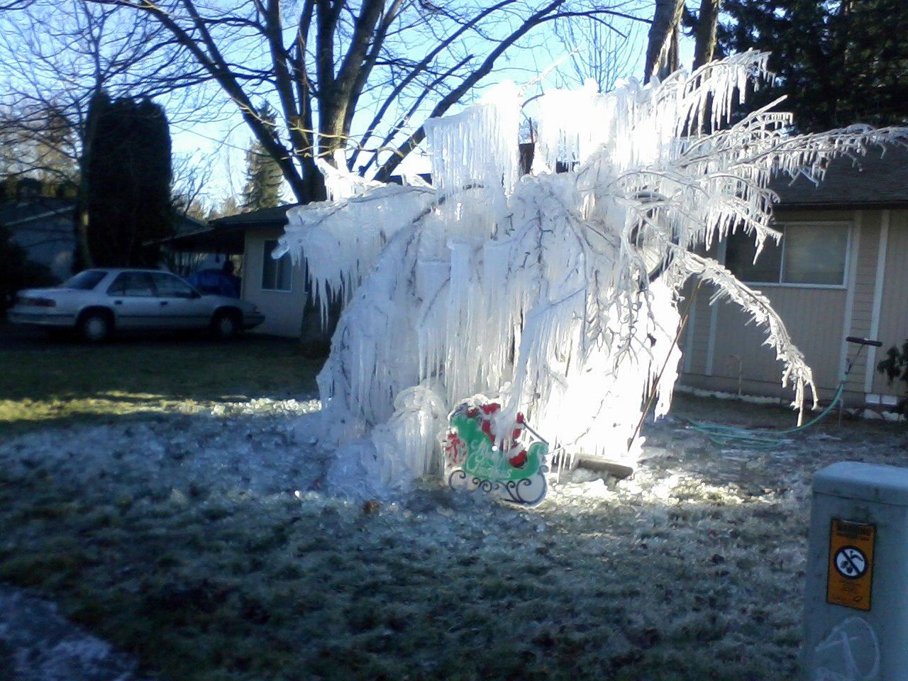 Sarah Graham
A homeowner in the 14000 block of Northeast 76th Street used a sprinkler to turn a front-yard tree into an ice sculpture Saturday. Vancouver's official low Saturday was 22 at Pearson Airfield, though it was several degrees colder in outlying areas. The forecast is on Page B10.
