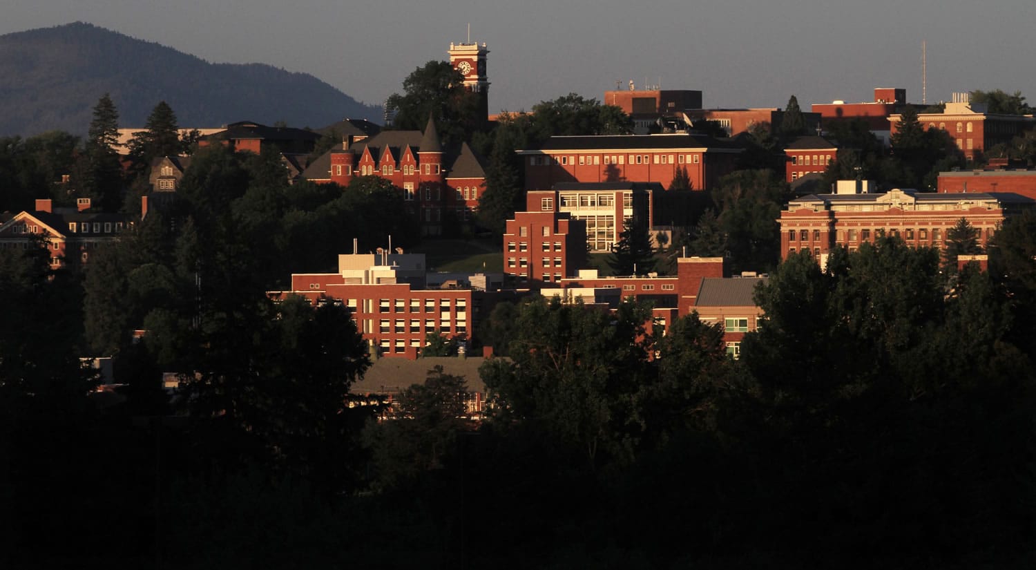 Washington State University's Pullman campus glows on its hill.