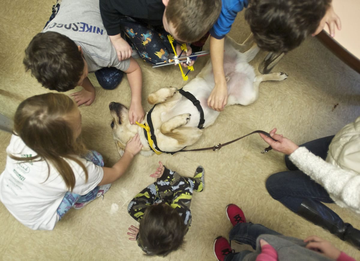 Children at Share Orchards Inn visit with therapy dog Art, a 3-year-old Labrador retriever, on Christmas Eve.
