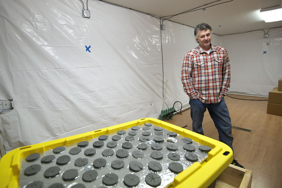 Brian Stroh has had to custom make some of his equipment in preparation for growing marijuana at his 2,000-square-foot facility in Vancouver, Washington.