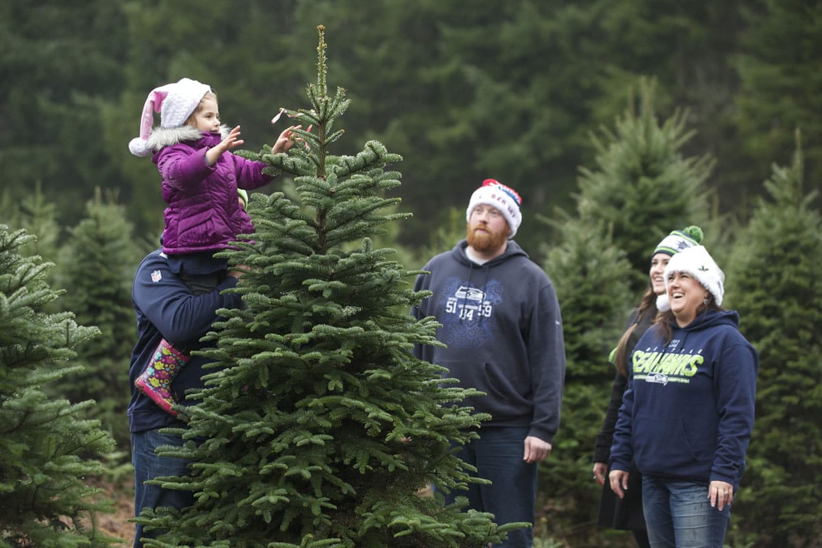 Aubrey Tucker, 3, gets a lift from grandpa Bruce Tucker as she marks their Christmas tree with a ribbon on Sunday at Farrell Farms on Mount Norway.
