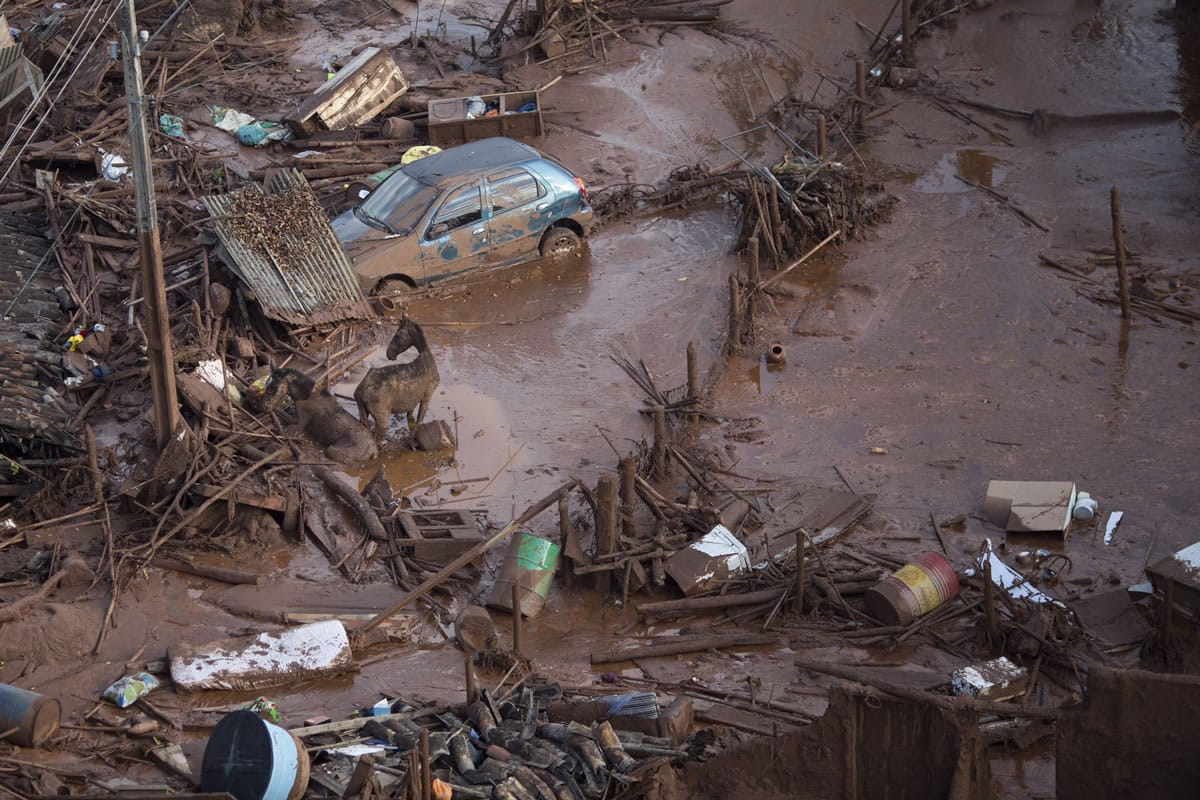 Horses struggles in the mud Friday at the small town of Bento Rodrigues after a dam burst in Minas Gerais state, Brazil. Brazilian rescuers searched feverishly Friday for possible survivors after two dams burst at an iron ore mine in a southeastern mountainous area.