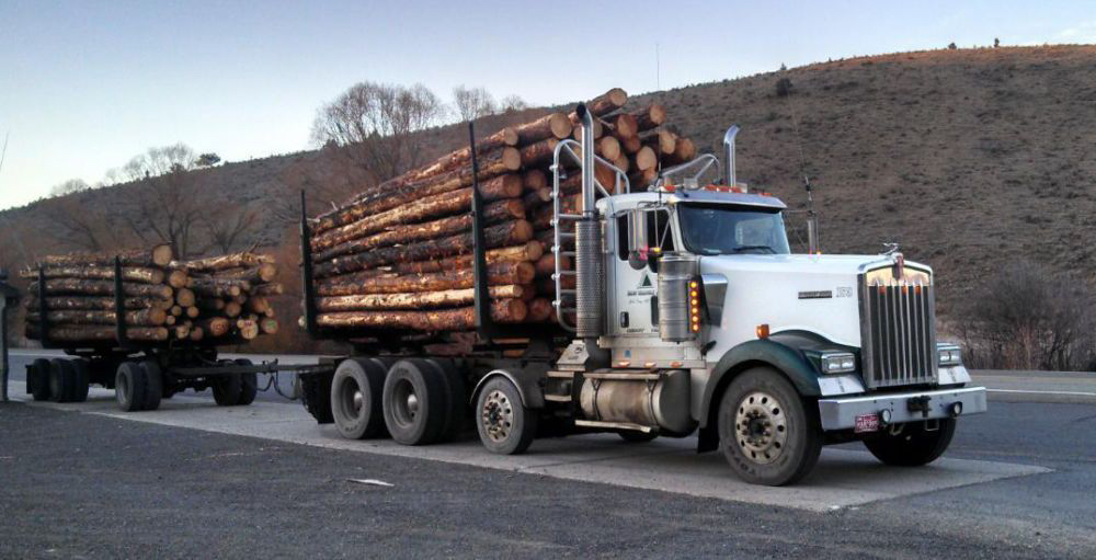 Blue Mountain Eagle
Iron Triangle is moving logs from Marshall Devine, the first project of the Malheur National Forest's new 10-year stewardship contract.