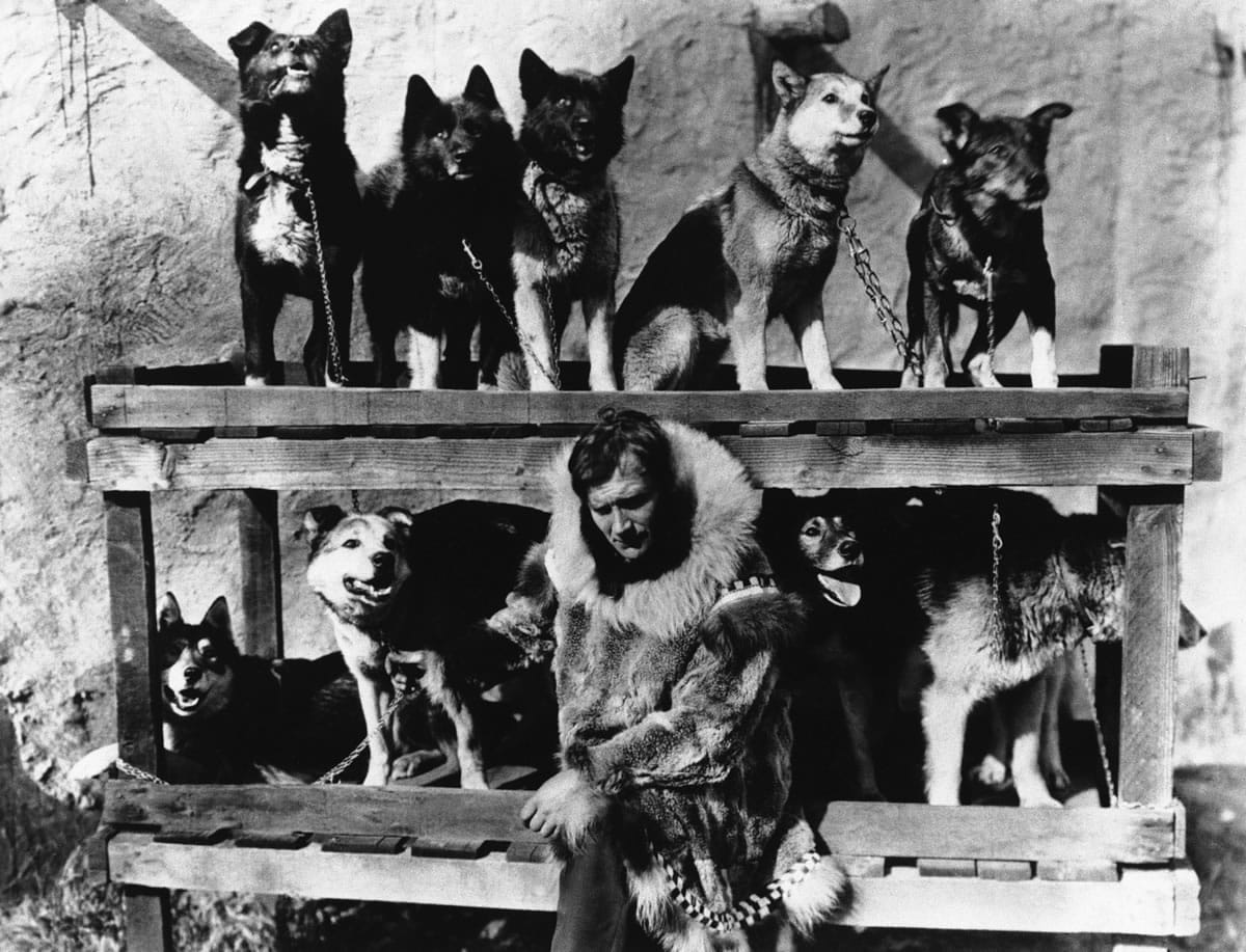 Gunnar Kaasen poses in 1925 with the dog team he drove through a blizzard to deliver life-saving serum to Nome, Alaska.