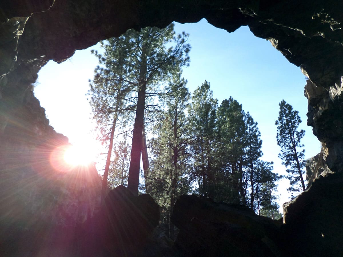 Sunlight peeks past the tall ponderosas in this view looking up and out of Hidden Forest Cave in Deschutes County, Ore.