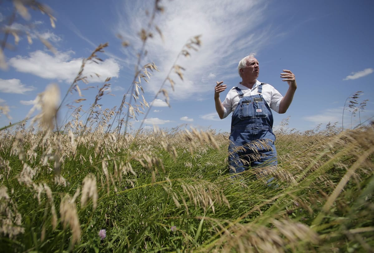 Leroy Perkins stands July 26 in his field of grass, which is part of the Conservation Reserve Program near Corydon, Iowa.