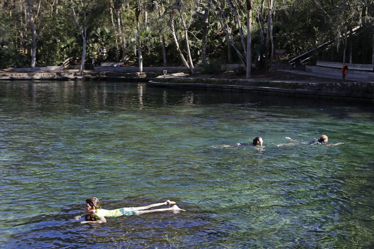 Swimmers enjoy the clear waters of Wekiva Springs at the Wekiva Springs State Park in Apopka, Fla.