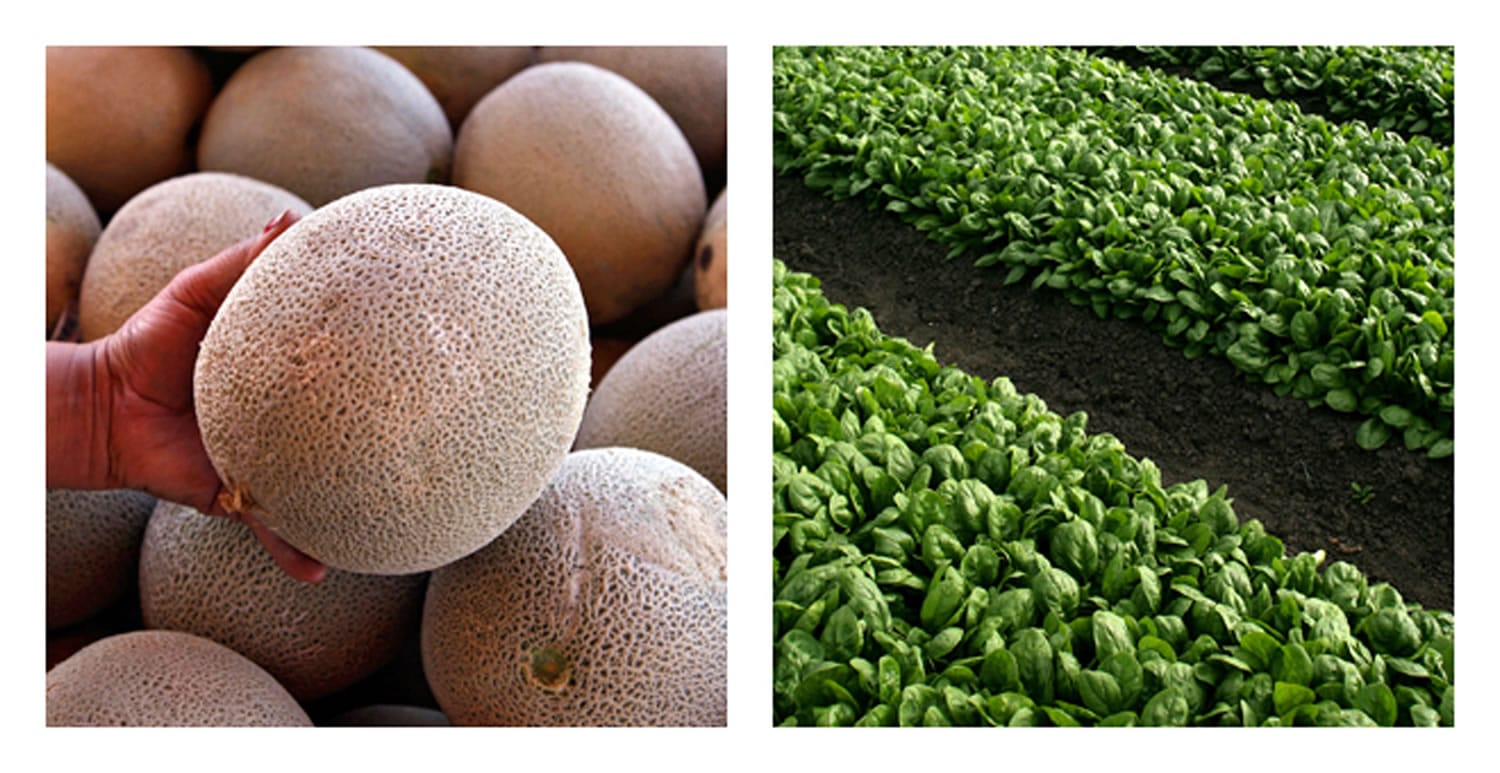 The Food and Drug Administration issued new produce safety rules Friday in the wake of large foodborne illness outbreaks over the last decade, including deadly outbreaks linked to fresh spinach, cantaloupes and cucumbers.