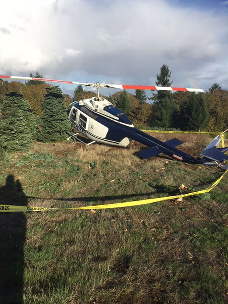This photo provided by the Polk County Sheriff&#039;s office shows a helicopter after it crashed while harvesting Christmas trees near Sheridan, Ore., on Monday but the pilot was able to walk away. No injuries were reported.