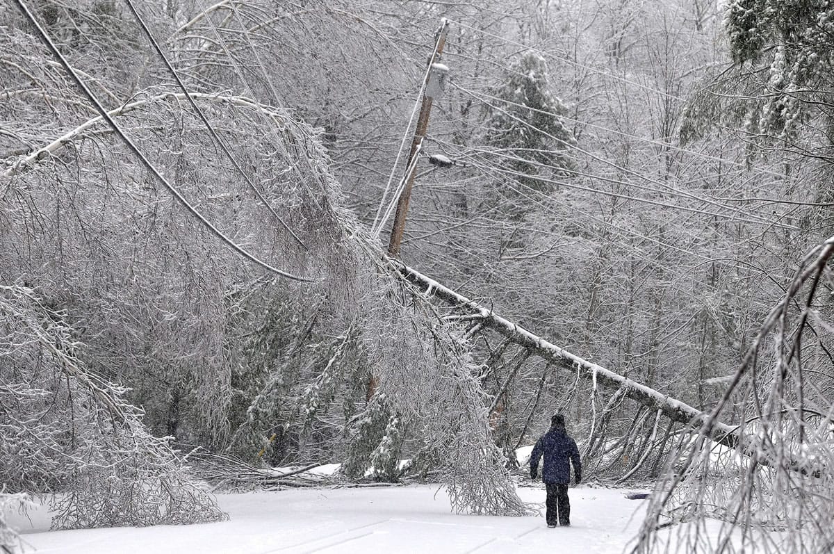Karen Gibbs walks through a labyrinth of icy broken trees and downed power lines to her home on Maplehurst Drive in Belgrade, Maine, on Thursday.