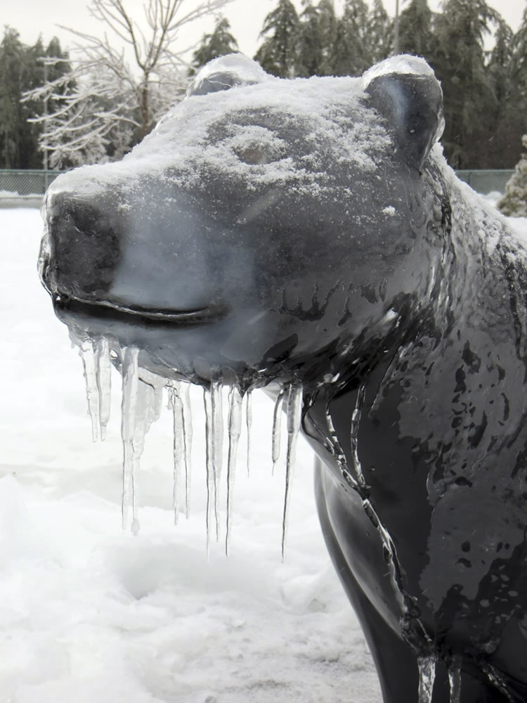 Icicles hang from the statue of a bear outside a rest area off Interstate 295 Thursday in Gardiner, Maine.