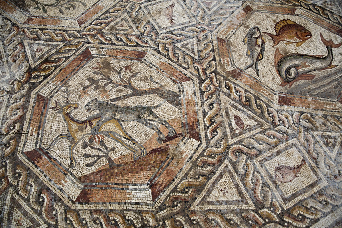 A partial view of a 1,700-year-old Roman-era mosaic floor in Lod, Israel, on Monday. Archaeologists found the mosaic last year while building a visitors? center meant to display another mosaic, discovered two decades earlier at the same spot. The authority said the newly discovered Roman-era mosaic measures 11 meters by 13 meters (36 feet by 42 feet) and paved the courtyard of a villa in an affluent neighborhood that stood during the Roman and Byzantine eras.