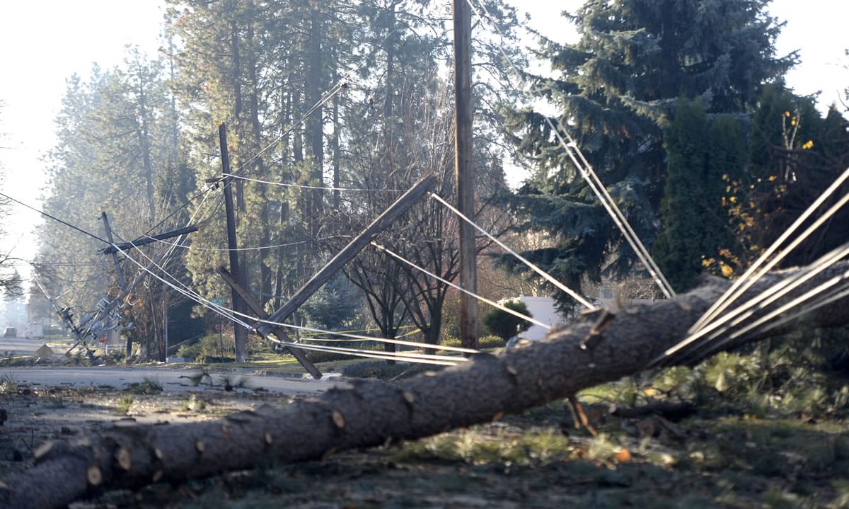 Fallen trees lie across downed power lines on Saturday in Spokane in the aftermath of a windstorm that hit the area Nov. 17.