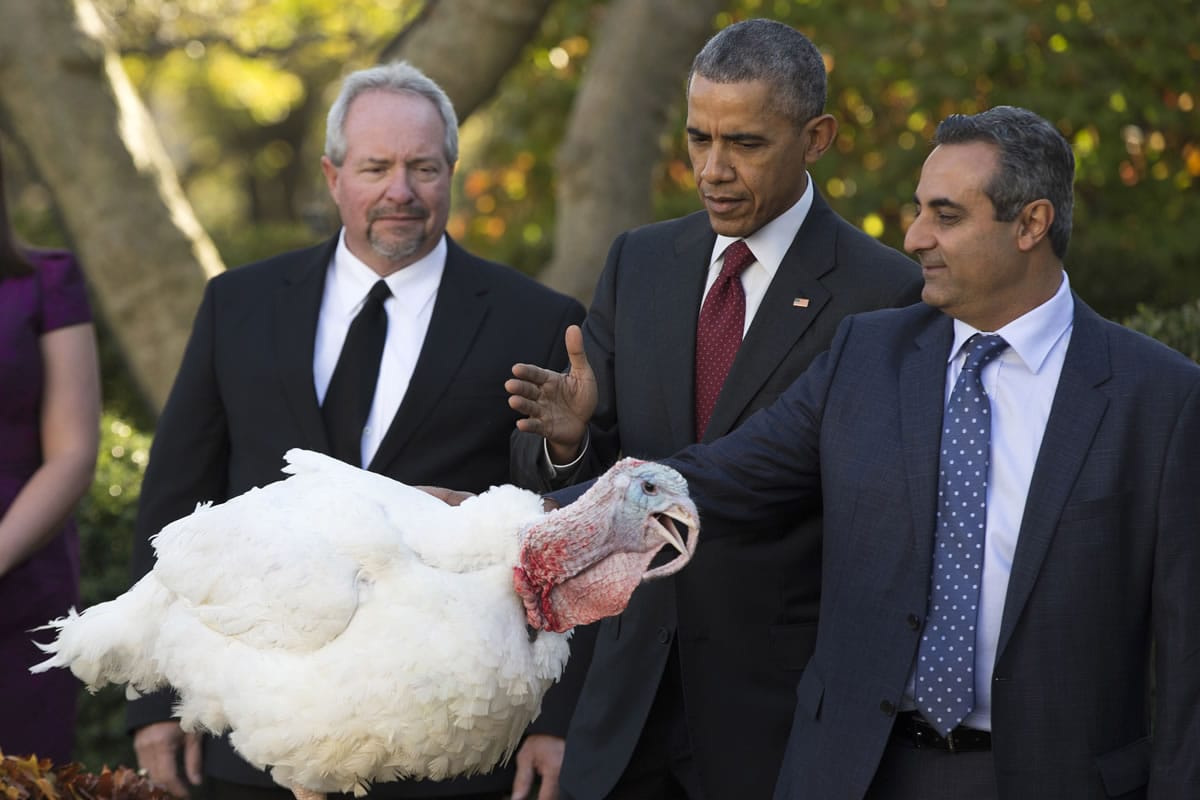 Turkey farmer Joe Hadden, left, and National Turkey Federation Chairman Jihad Douglas, right, watch as President Barack Obama pardons  the National Thanksgiving Turkey Abe, Wednesday, Nov. 25, 2015, during a ceremony in the Rose Garden of the White House in Washington. This is the 68th anniversary of the National Thanksgiving Turkey presentation.