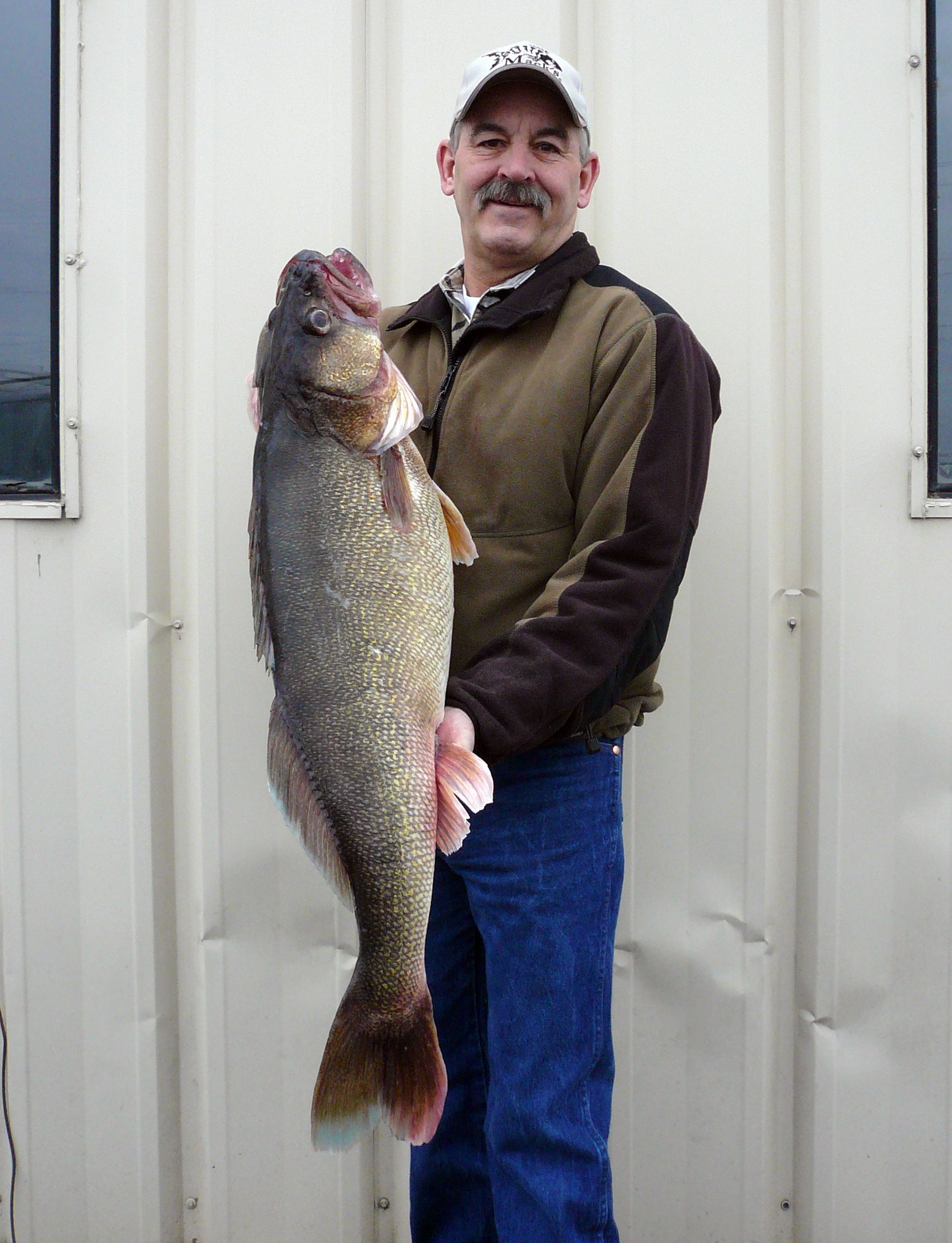 Washington Department of Fish and Wildlife 
 John Grubenhoff, 57, of Pasco poses in Tri-Cities with a record walleye he caught Feb. 28, 2014. The egg-heavy female fish, weighing 20.32 pounds, measuring 35-1/2 inches long and 22-3/4 inches in girth, was caught in the Columbia River in McNary Pool near Tri Cities and is a Washington record.