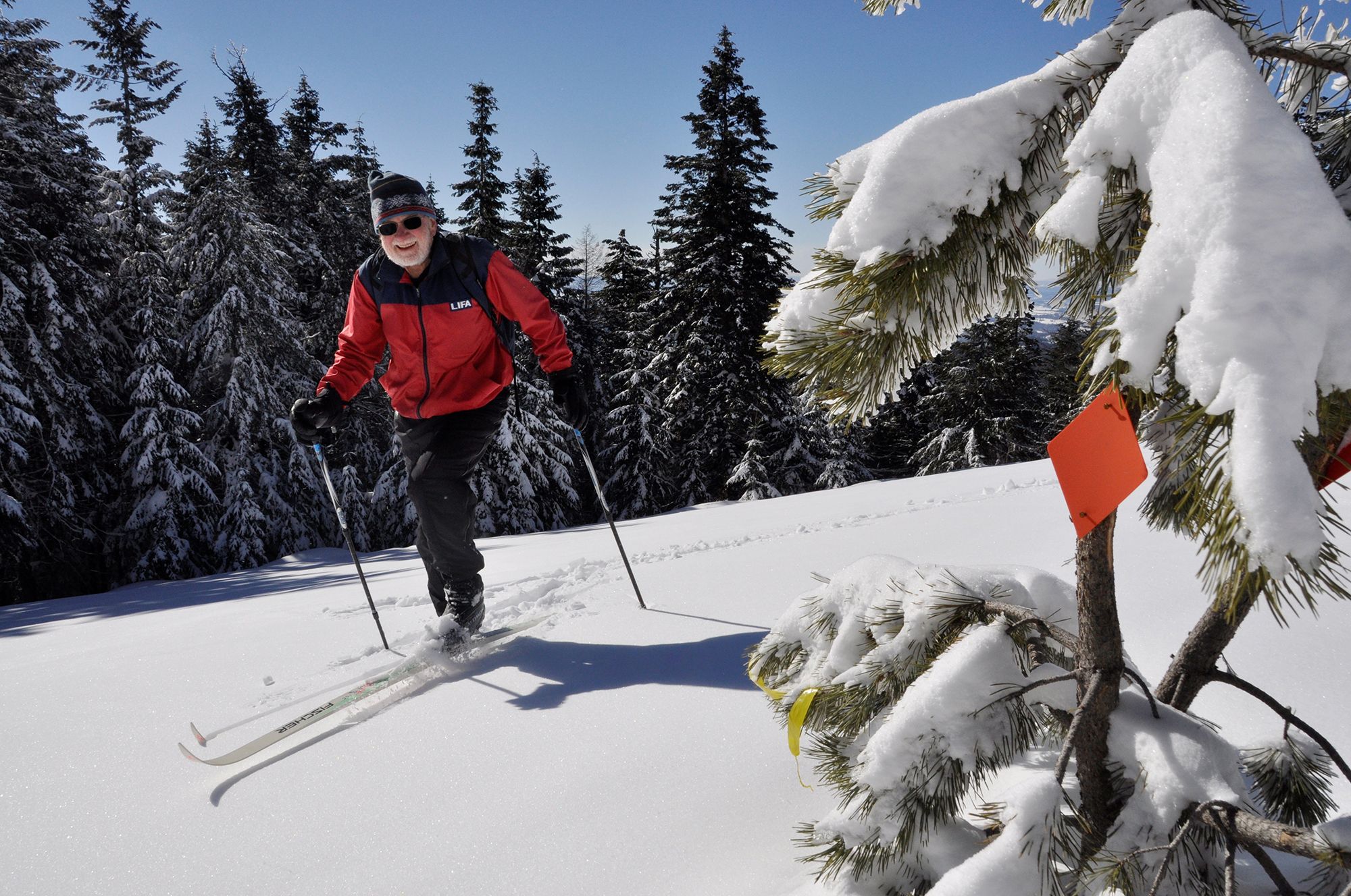 Art Bookstrom, 75, breaks trail on a cross-country skiing route he marked with orange triangles for the enjoyment of skiers who want an old-fashioned nordic skiing experience off the wide, groomed trails at Mount Spokane State Park.