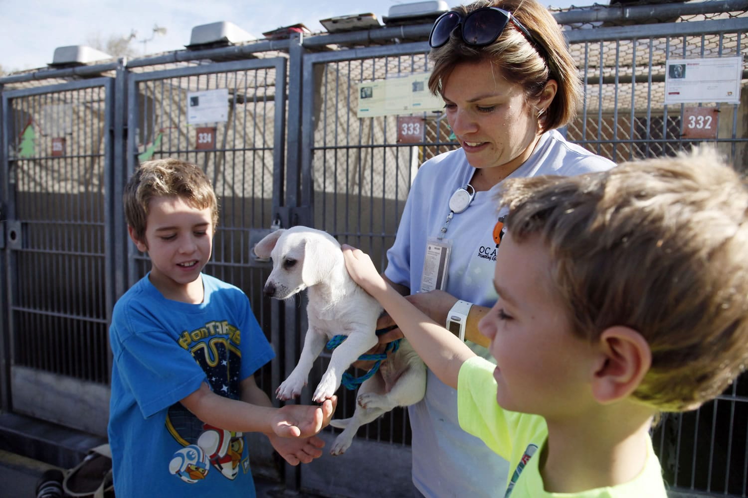 Erika Bennett of OC Animal Care in Orange, Calif., holds a puppy for brothers Ryan Wartenberg, left, and Jason Wartenberg, as they look into adopting on Tuesday.