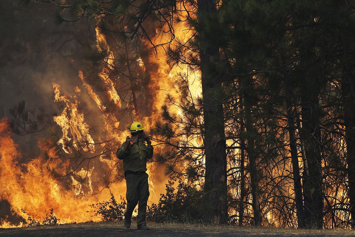 Firefighter A.J. Tevis watches the flames of the Rim Fire near Yosemite National Park, Calif., on Aug. 25.  The House has approved a wide-ranging bill that speeds logging of trees burned in last year's massive Rim Fire in California.