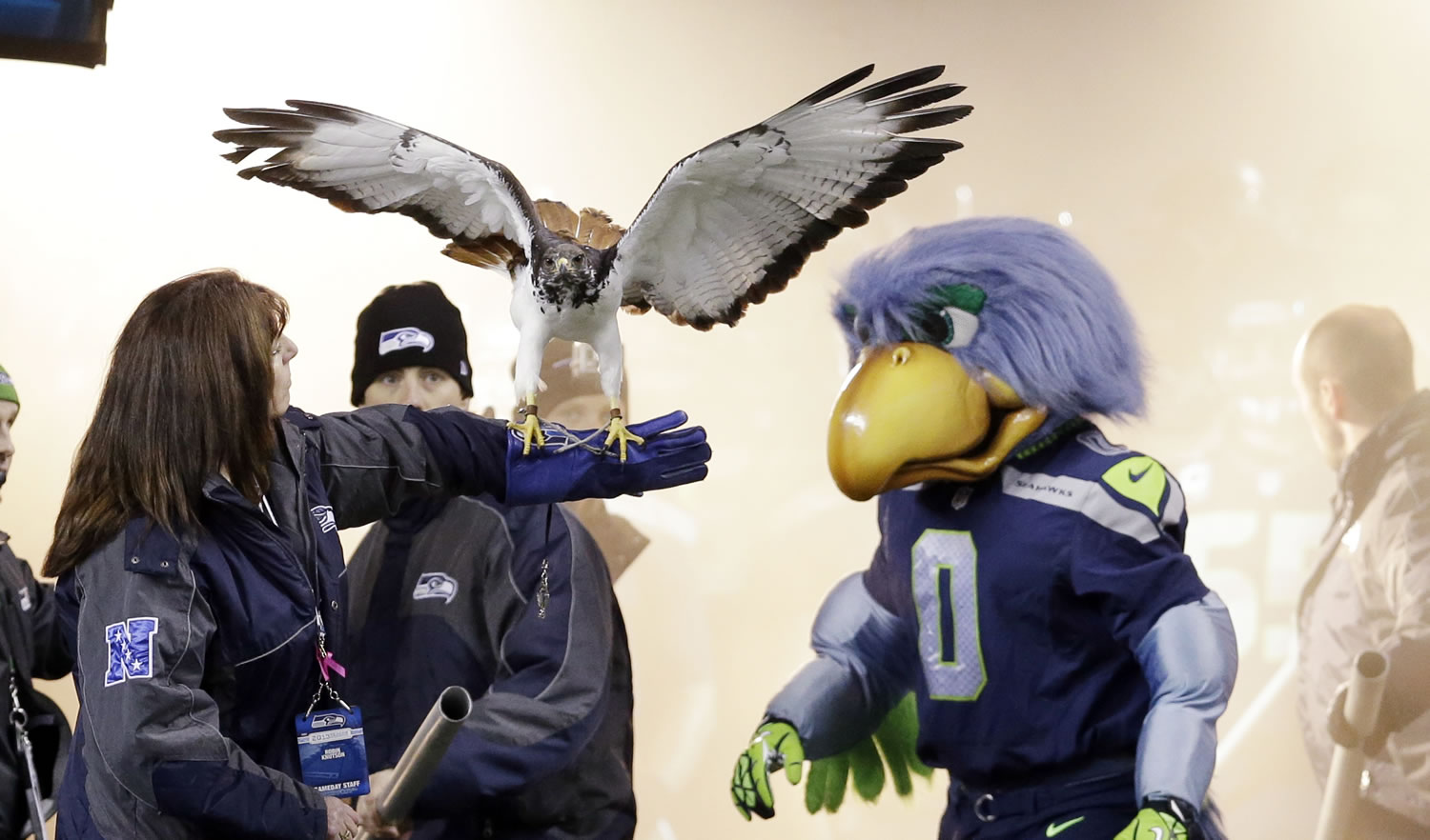 &quot;Taima,&quot; an auger hawk, flaps her wings while standing on the arm of her handler and next to the Seattle Seahawks' mascot &quot;Blitz&quot; (0) on Monday.