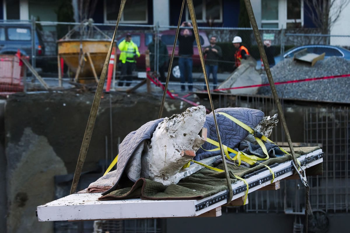 A fossilized mammoth tusk, covered in protective plaster and blankets and strapped down, is hoisted Friday by a crane at a construction site in Seattle's South Lake Union neighborhood, where it was discovered Tuesday.