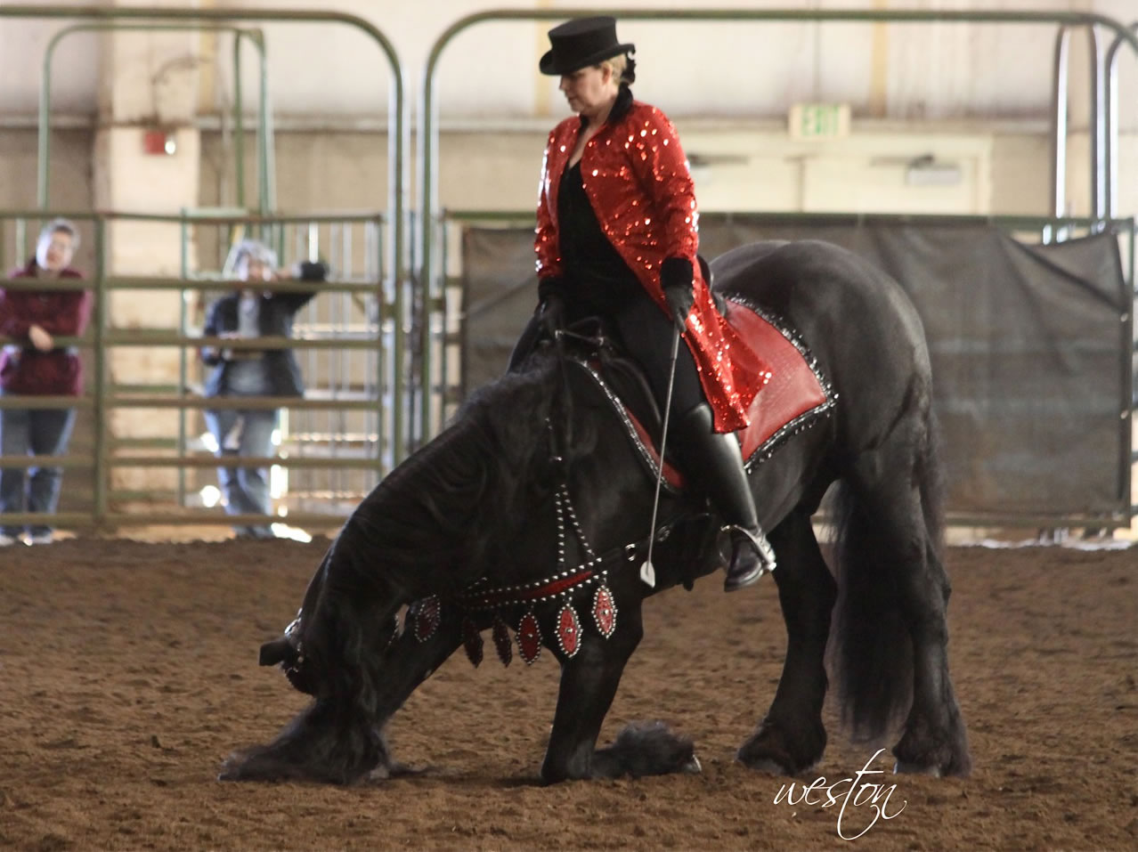 The Washington State Horse Expo will take place Feb.