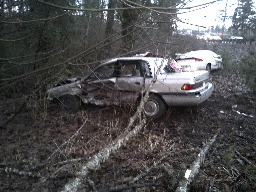 Two vehicles were involved in a crash on Northeast 219th Street near Interstate 5 and ended up down an embankment.